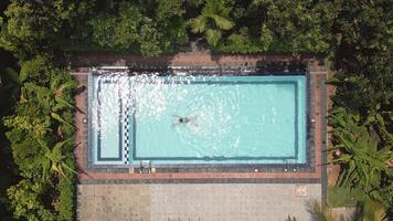 A woman swimming in blue water tranquil pool beneath palm trees at a tropical Asian resort, enjoying luxury, warmth, and peaceful moments in a serene vacation setting video