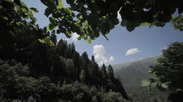Mountain landscape framed by tree branches under blue sky video