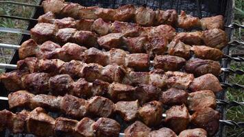 Barbecue grilled meat pieces rotate on skewers at charcoal grill. Picnic food cooking outdoor. Roasted pork meat traditional local food on rotisserie with spits video