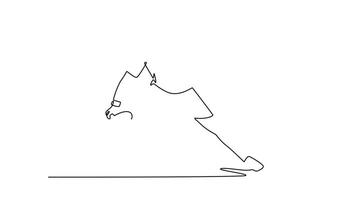 mature man padel tennis player. padel concept. Single line draw design. Full length animation illustration. High quality 4k footage video