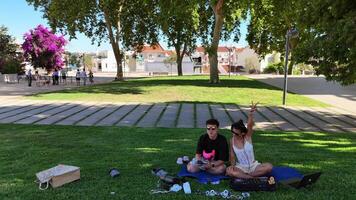 A Relaxing Park Scene Featuring Beautiful Scenic Views and Vibrant Natural Surroundings video