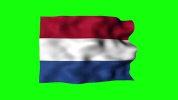 Netherlands Flag Waving on Isolated Green Screen Background video