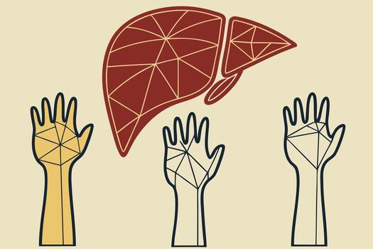 Liver and hands with a triangle shape vector