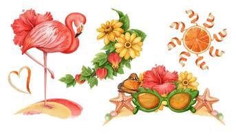 Flamingo and flowers illustration vector
