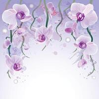 Orchids with purple and green accents vector