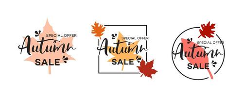 Autumn Sale Special Offer Three Leaf Designs Promotion vector
