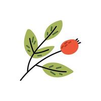 Branch with green leaves and berry rowan. Cozy autumn illustration.Flat illustration isolated on white background. vector