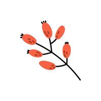 Branch with red berries. Berries rowan.Cozy autumn illustration. Flat illustration isolated on white background. vector