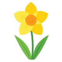 Yellow Daffodil Flower with Green Leaves Icon vector