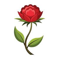 red rose flower with green leaves illustration vector