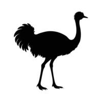 an ostrich silhouette is shown in black on a white background vector