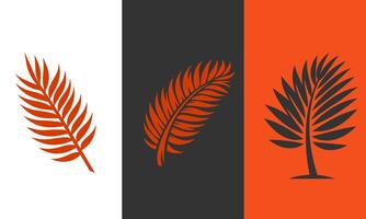 Three stylized palm fronds in orange and dark gray on white backgrounds vector