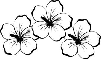 Three hibiscus flower blooms with blossom art vector