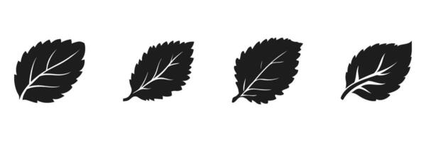 Silhouette Of Mint Leaves Set. Nature And Herbal Design Elements Collection. Isolated Illustration vector
