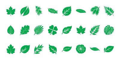 Leaf Silhouette Collection Set. Botanical Diversity And Nature Elements Collection. Isolated Illustration vector