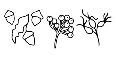 Set of rose hips, rowan berries, acorn nuts. Simple black graphics, hand drawn in doodle style. illustration of autumn elements of nature. Outline drawing for Thanksgiving, cards, invitations vector