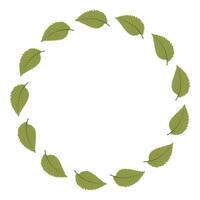 Green leaves circle frame. vector