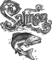 black and white drawing of a salmon and the word salmon vector