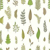 Assorted leaves and foliage patterns vector