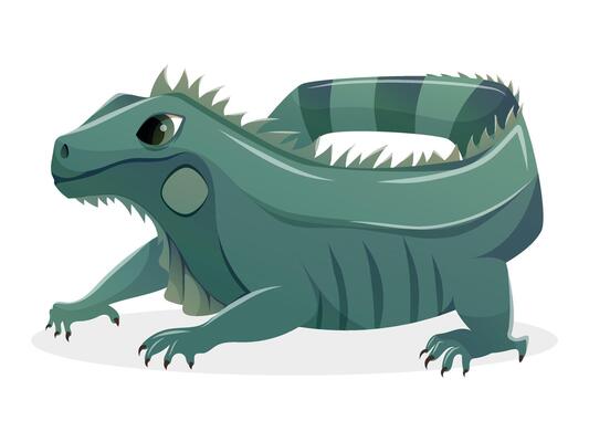 Cartoon Green Iguana or Lizard Illustration. Isolated cute reptile design for educational projects, pet care materials, wildlife themes, and exotic animal content.