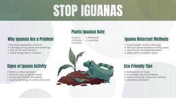 horizontal infographic poster Stop Iguanas with cartoon green iguana, damaged garden, signs of infestation, control methods, and eco-friendly tips. Educational and eye-catching design. vector