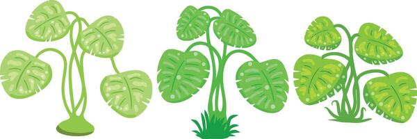 Tropical potted plants with wide green leaves. vector