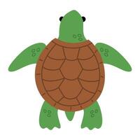 Turtle marine animal icon. Sea turtle vector