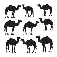 Collection of black camel silhouettes on a white background isolated on white background vector