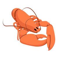 Flat Cartoon Lobster vector
