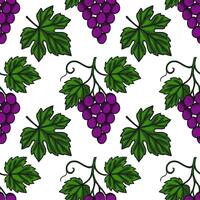 Seamless pattern of hand drawn bunches of purple grapes and green vine leaves, creating a vibrant and natural design perfect for various applications. vector