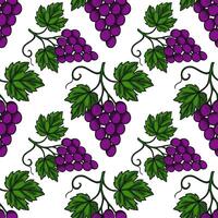 Seamless pattern of hand drawn bunches of purple grapes with green leaves, creating a vibrant and natural design ideal for various applications. vector
