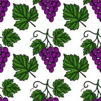 Seamless pattern of hand drawn bunches of purple grapes and green vine leaves, creating a vibrant and fresh design ideal for various applications. vector