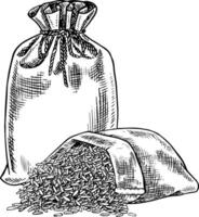 Burlap bags of rice or oats, wheat or rye. Black and white graphics, illustrations. Design element for menus, recipes, and cookbooks. For banners, flyers, packaging, labels, and more vector
