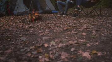 Friends gather around a warm campfire in a serene forest, surrounded by colorful autumn leaves. The atmosphere is alive with laughter and the scent of wood smoke under a clear sky. video