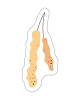 Sticker with abstract birch catkins. Color hand drawn clipart illustration. vector