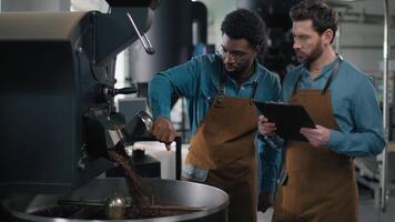 Multiethnic two barista Caucasian African men checking roasting machine coffee beans quality factory control production industry teamwork small business process technology beverage preparing machinery video