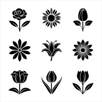 Image Processing Complete vector