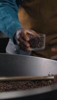 Multinational men coffee factory workers inspect roasted beans using magnifier control checklist Caucasian African barista look grain beverage process flavor industrial production caffeine preparation video