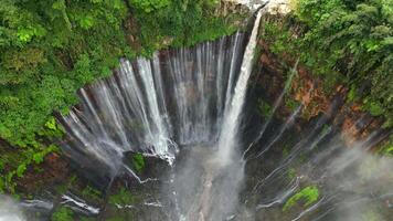 Aerial view of majestic Tumpak Sewu waterfall cascading into deep jungle canyon surrounded by lush rainforest in East Java, Indonesia. video