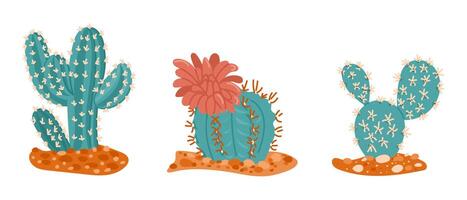 Set of hand drawn cactus plants with flowers and thorns in flat style, colorful desert elements on white background. Concept of nature, resilience, tropical and exotic decoration. vector