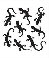 Salamander Silhouette Set vector