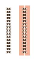 Spiral Bound Notebook Binding Pattern Border Detail, Illustration, Easy to Use and change Color. vector