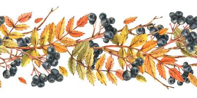 autumn leaves and berries illustration vector