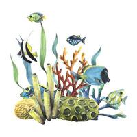 Coral reef with colorful fish and plants vector