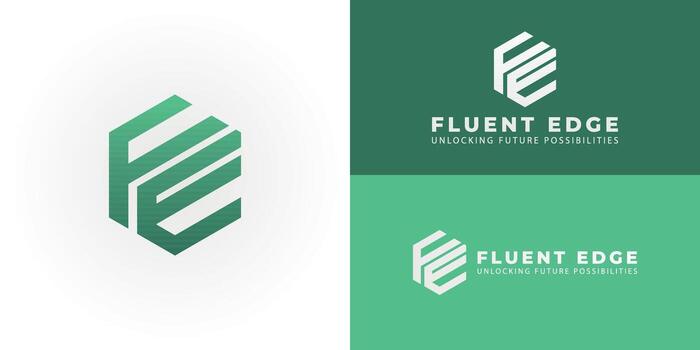 Modern 'FE' hexagon logo for technology and software development, symbolizing innovation, precision, and digital excellence. It is ideal for tech solutions, engineering, and data. vector