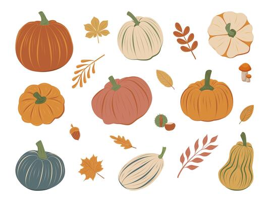 Colorful set of autumn pumpkins and fall leaves in various shapes. Perfect for Harvest and Thanksgiving decor, Halloween cards, posters and banners.