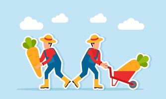 Two farmers working together to carry carrots illustration of storing harvest from agricultural land vector