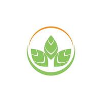 Simple mints logo leaf and symbol vector