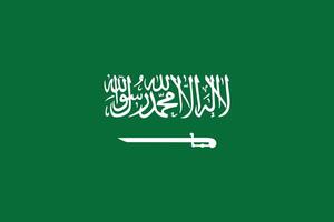 Saudi Arabian Flag with Shahada and Sword. Saudi Arabian flag Background. vector