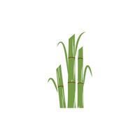 Sugarcane logo simple and symbol vector
